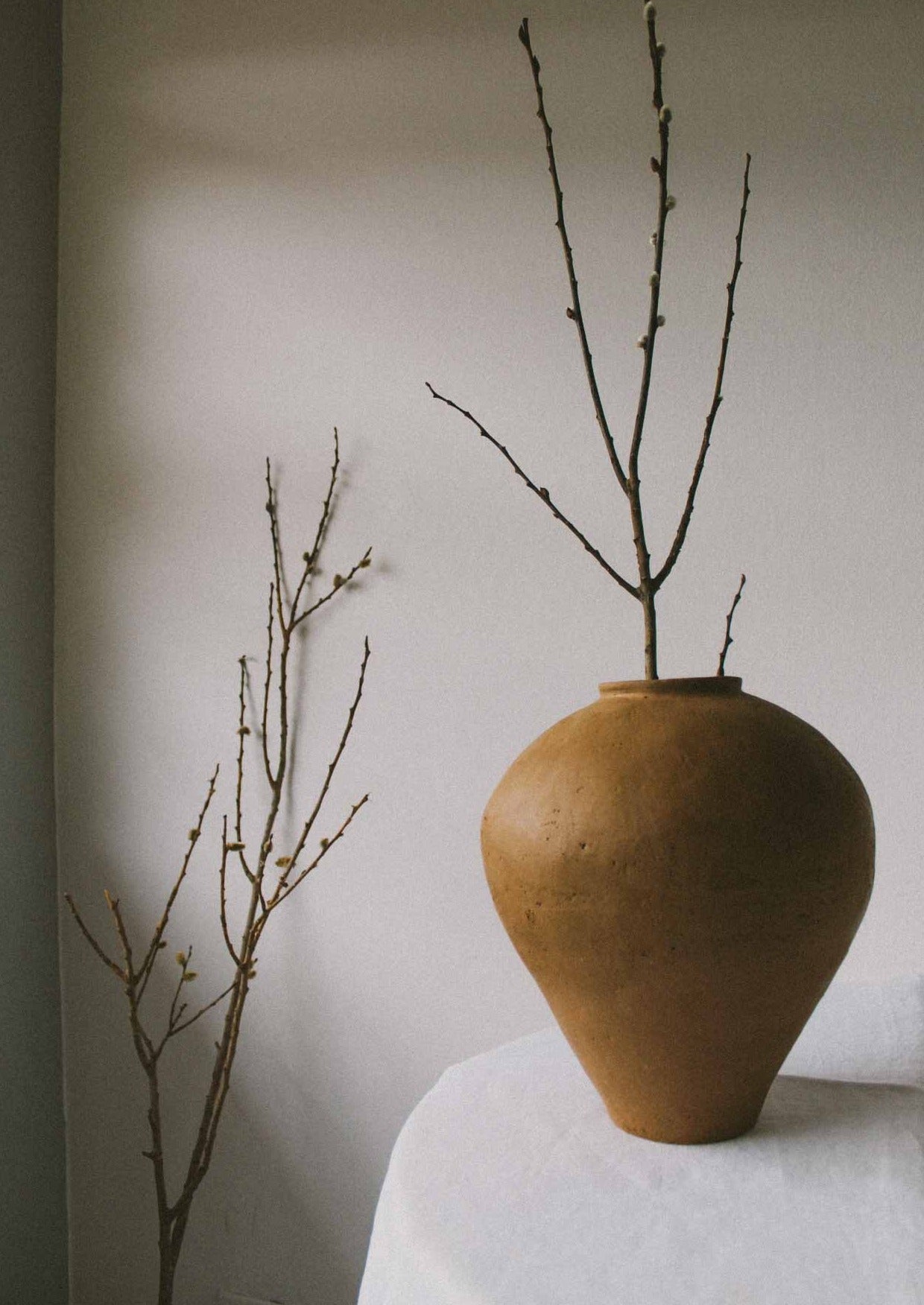 Bud Vase in Terracotta or White