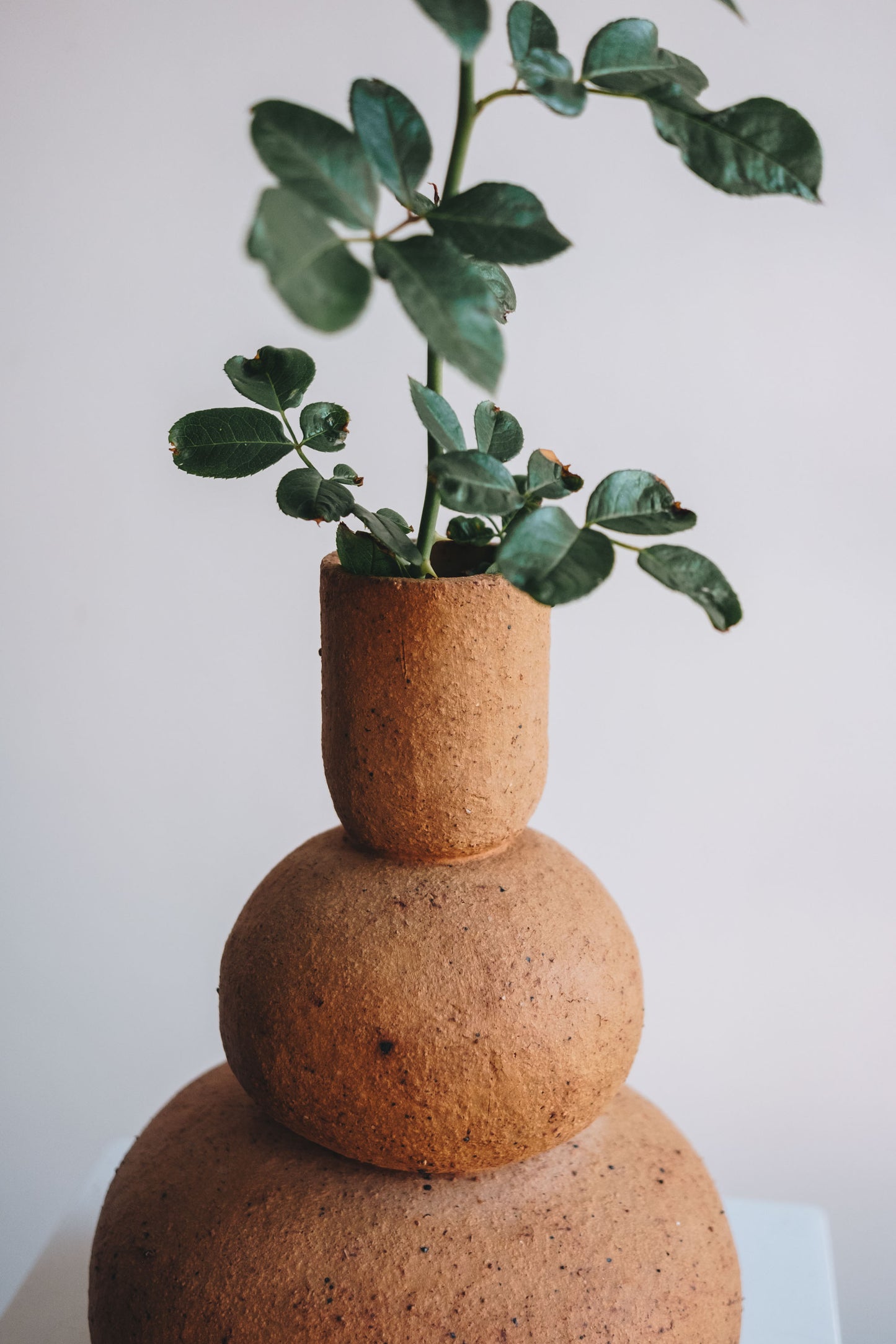 Macaroon 02 Vase in Terracotta